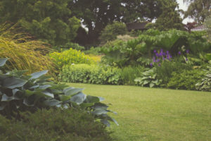 Landscape & Gardening